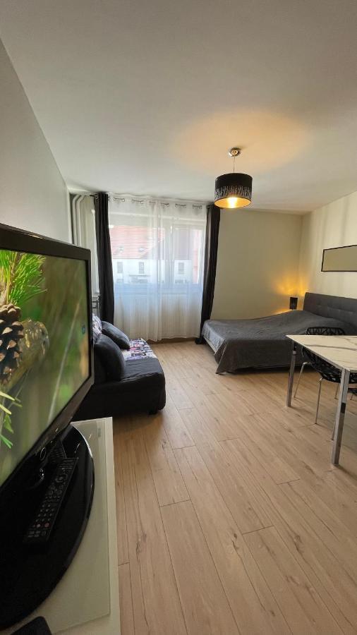 Appartement Grand Proche Du Centre